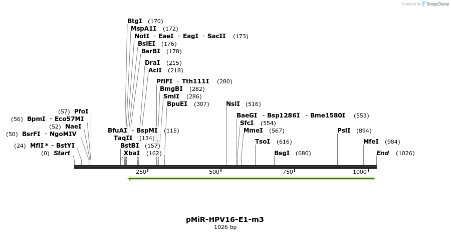 90601_map