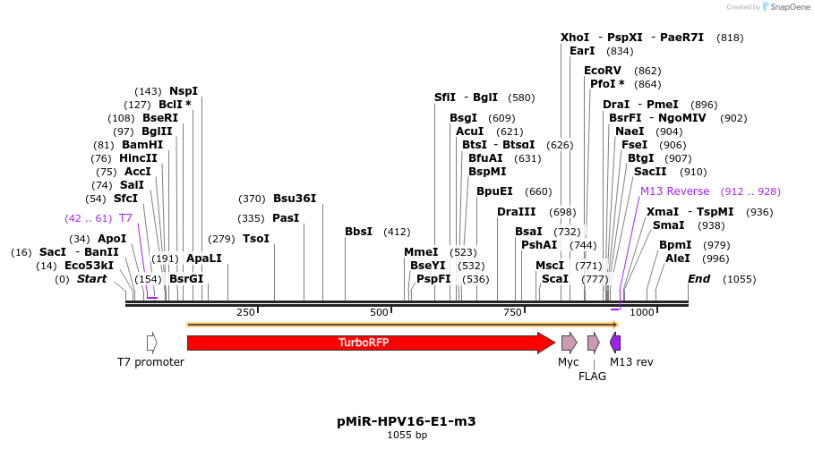90604_map