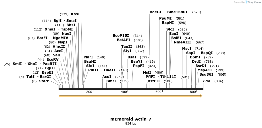 90605_map