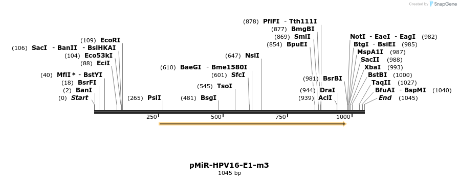 90606_map