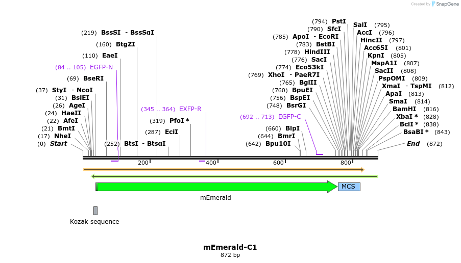 90607_map