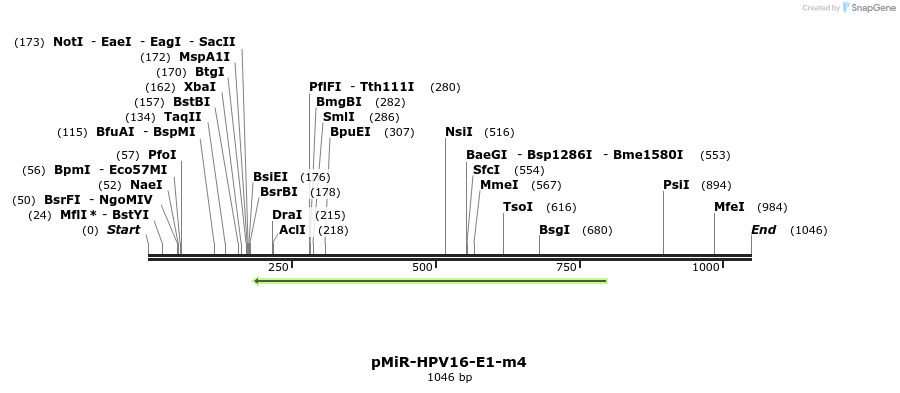 90610_map