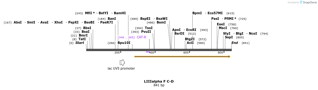 90611_map