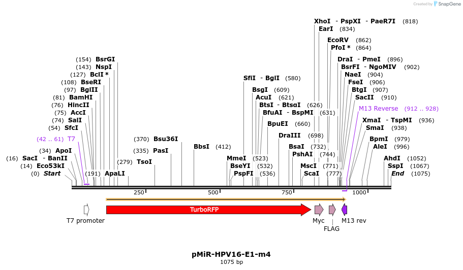 90612_map
