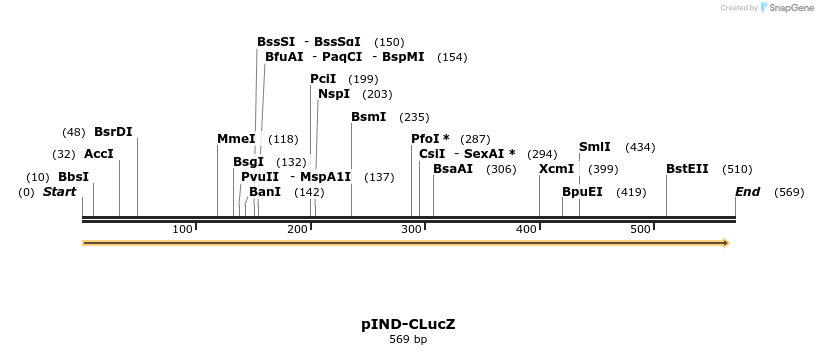 90613_map