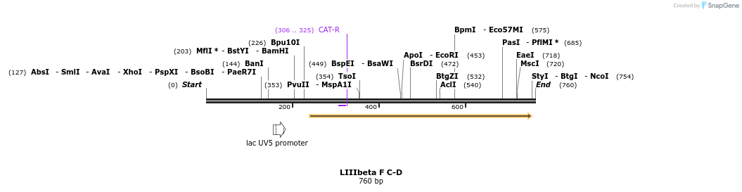90615_map