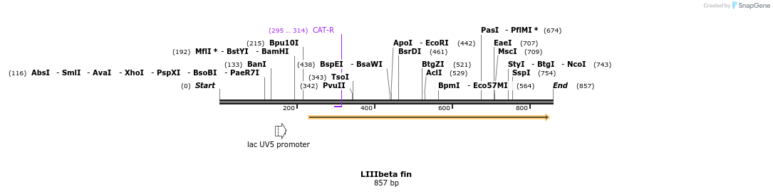 90618_map