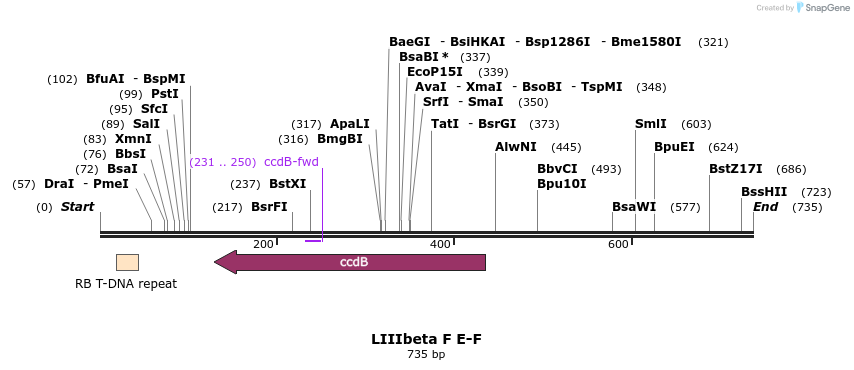 90619_map
