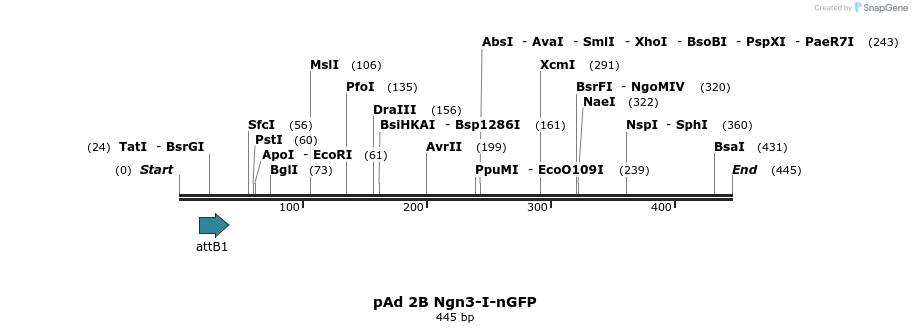 9062_map