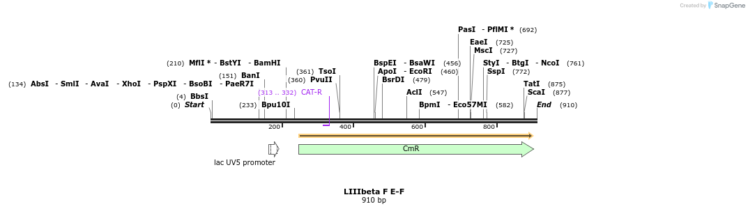 90620_map