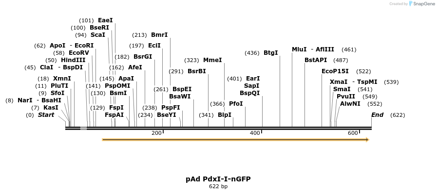 9063_map