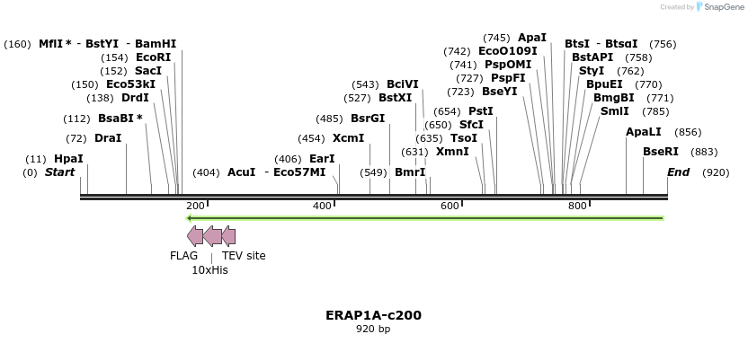90630_map