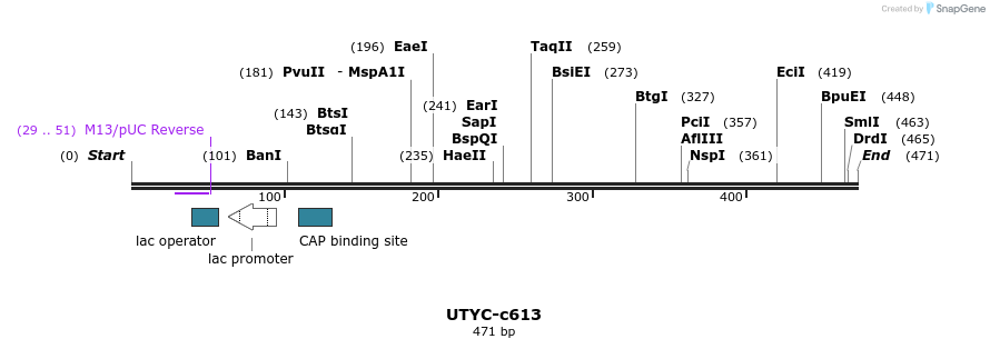 90635_map