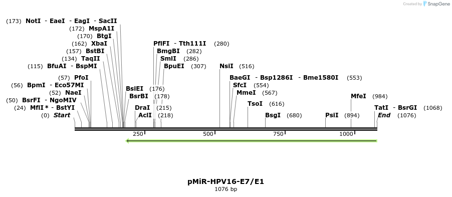 90636_map