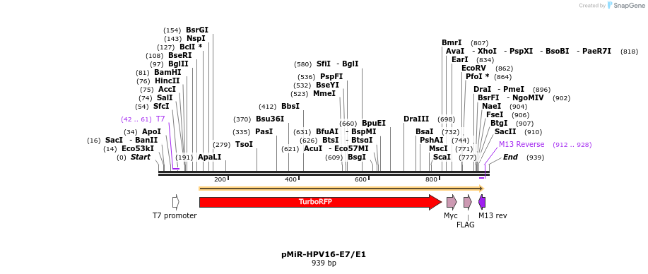 90637_map