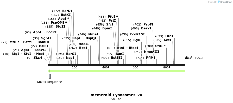 90638_map