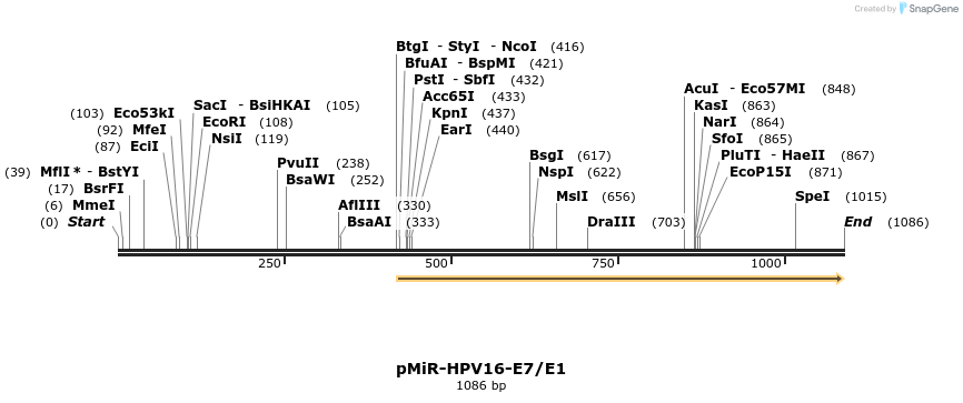 90640_map