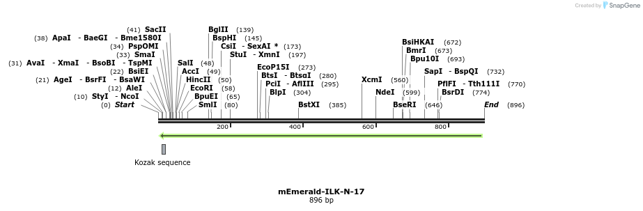 90641_map