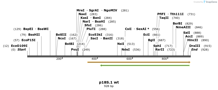 90647_map