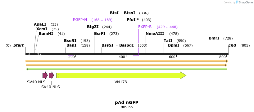 9065_map