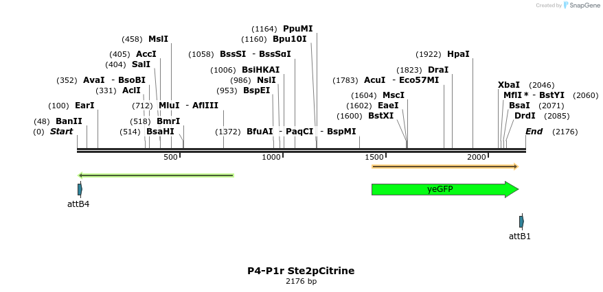 90665_map