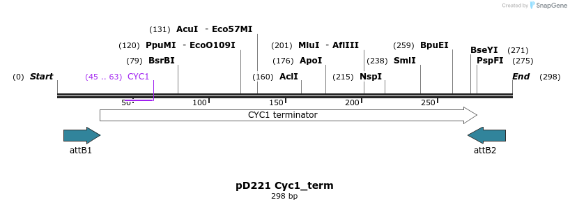 90667_map