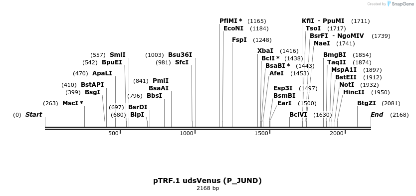 90673_map