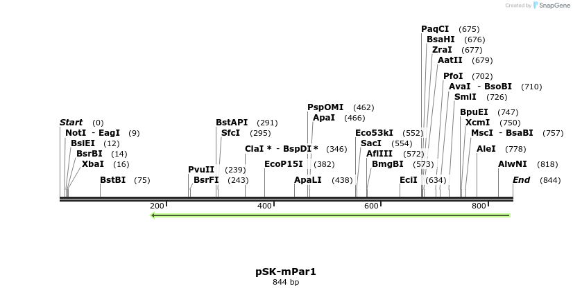 90674_map