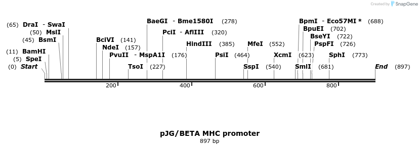 90676_map