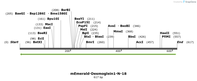 90677_map