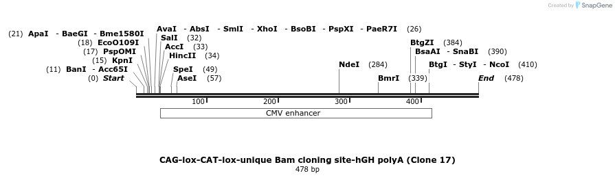 90683_map