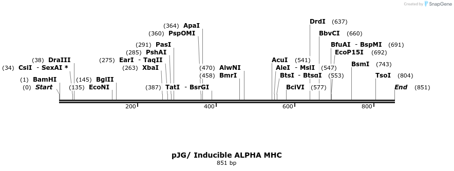 90686_map