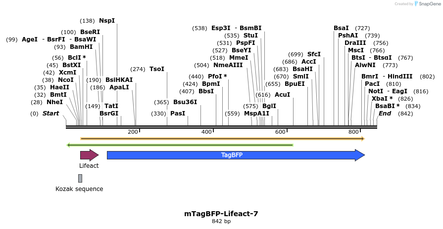 90699_map