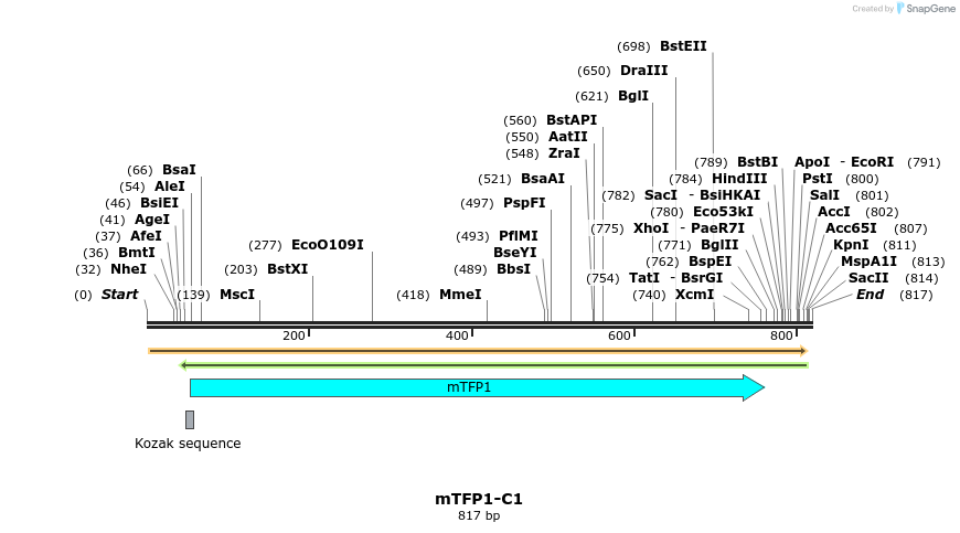 90700_map