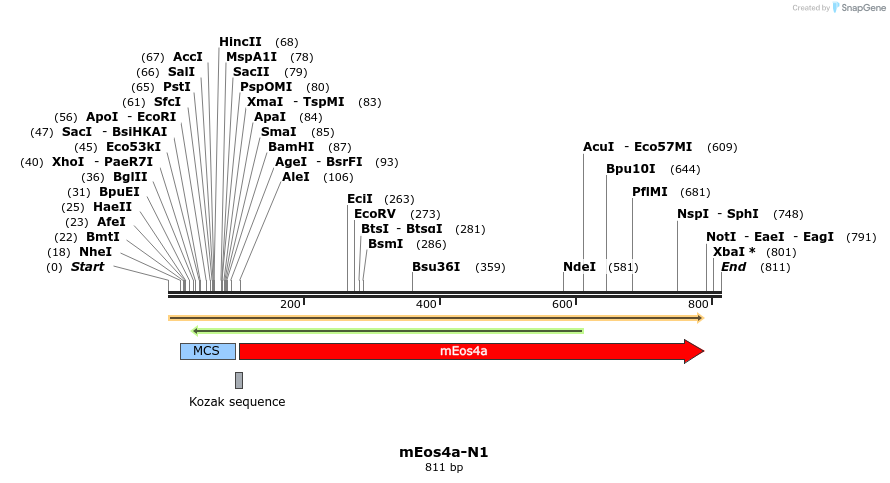 90701_map