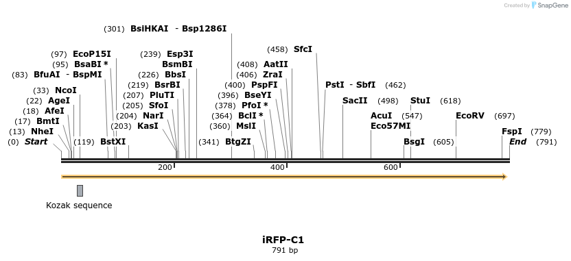 90704_map