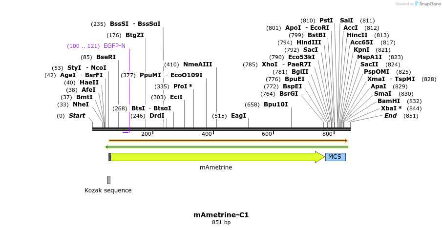 90705_map