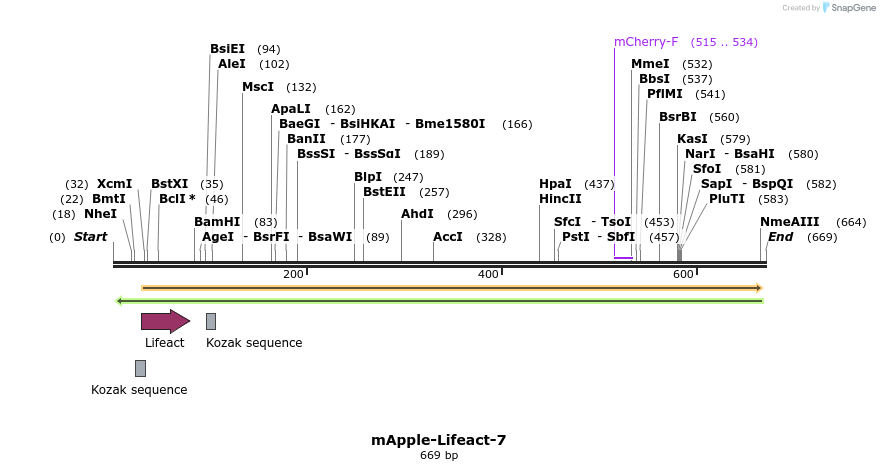90706_map