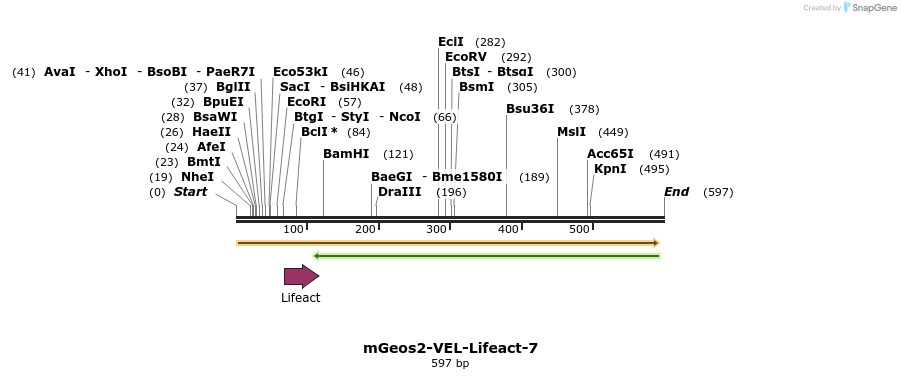 90707_map