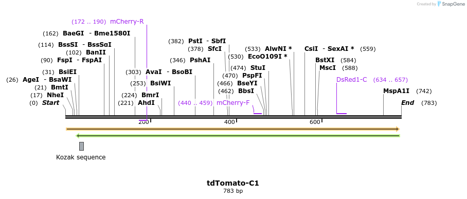 90710_map