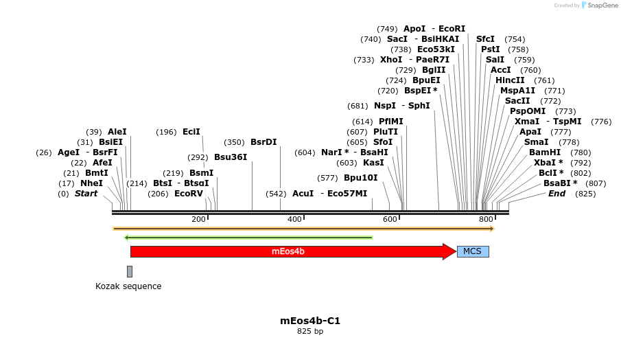 90711_map