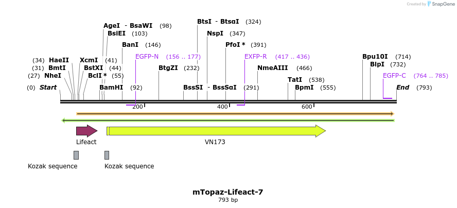 90712_map