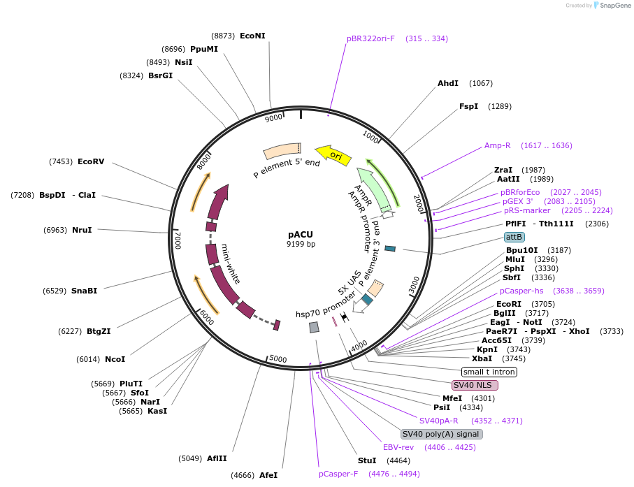 90719_map