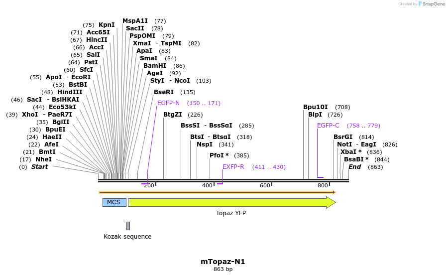 90725_map