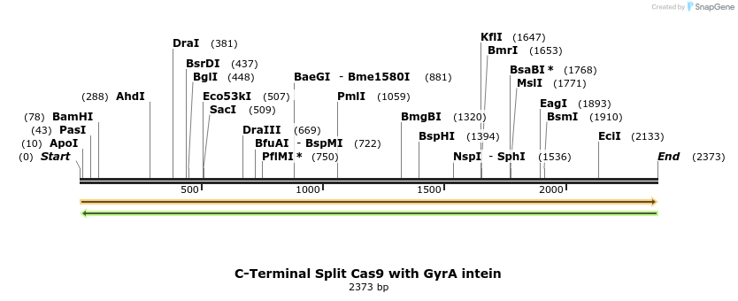 90729_map