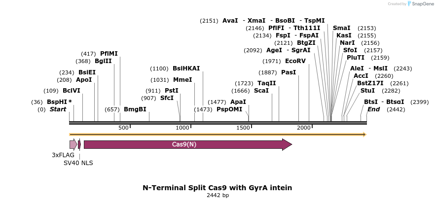 90732_map