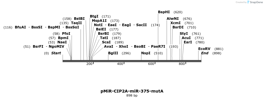 90738_map