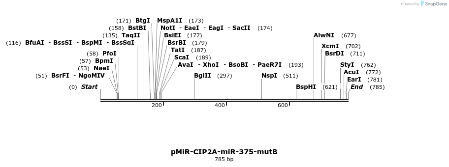 90741_map