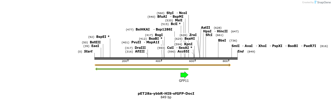 90746_map