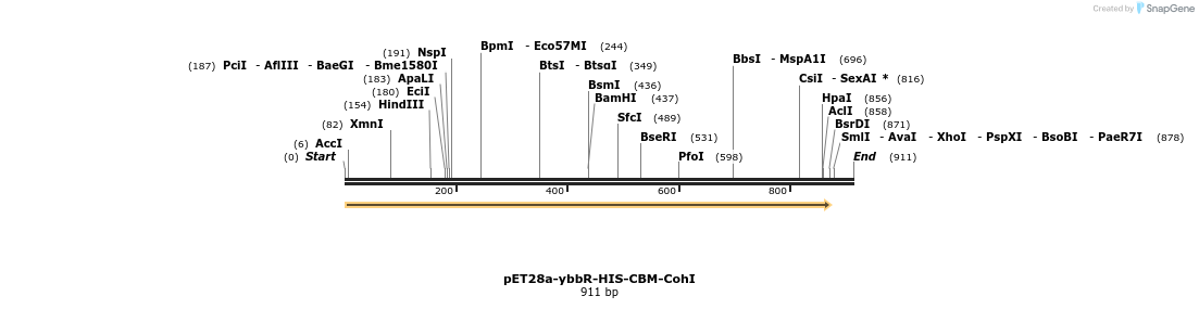 90748_map